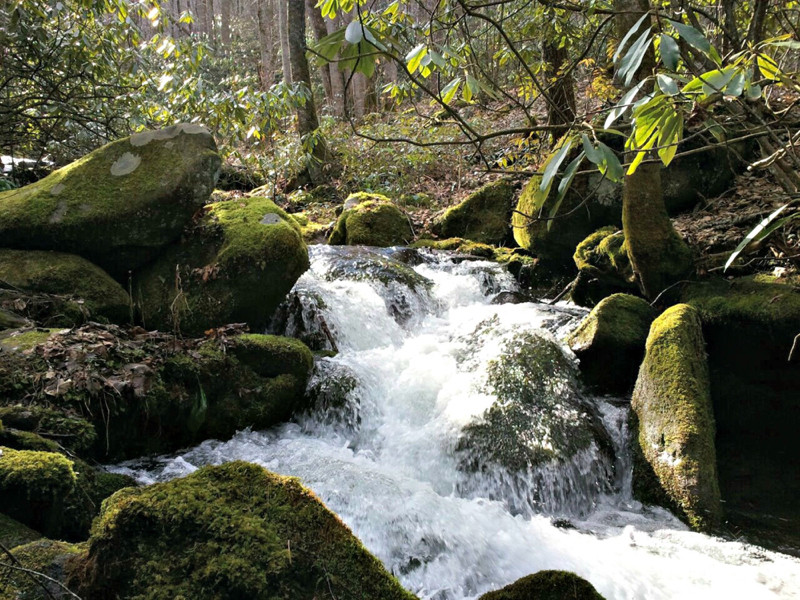 Smoky Mountains