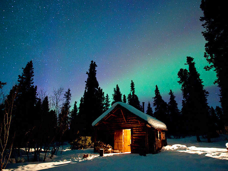 Savage Cabin Lights