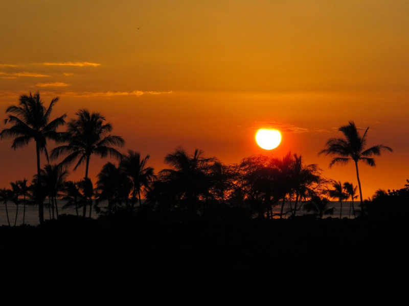 Paradise Sunset