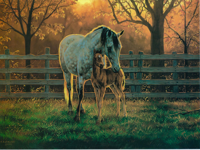 Mare &amp; Foal