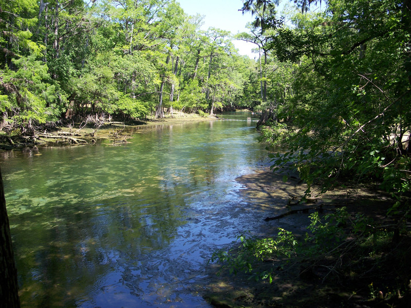 Manatee Springs State Park