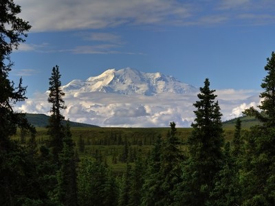 Beautiful Denali