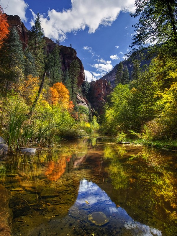 Fall in Sedona
