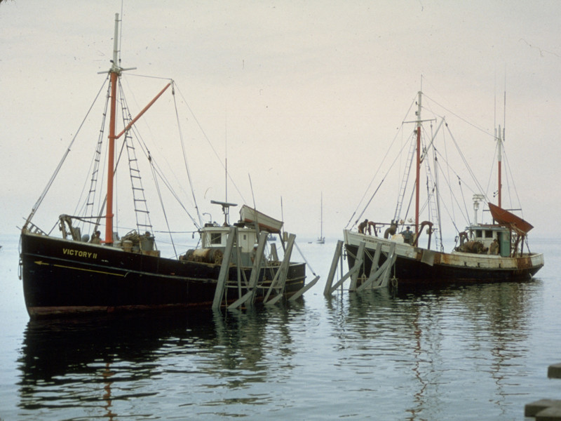 Harbor Boats