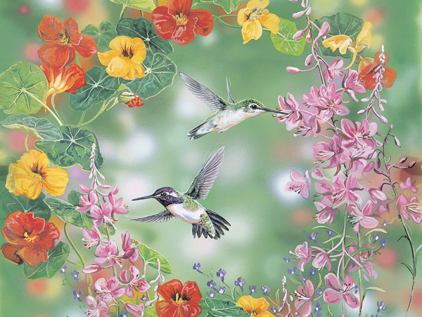 Hummingbirds