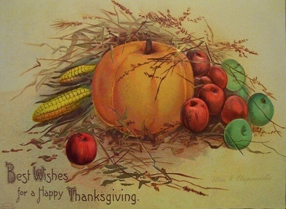 Best Wishes Thanksgiving