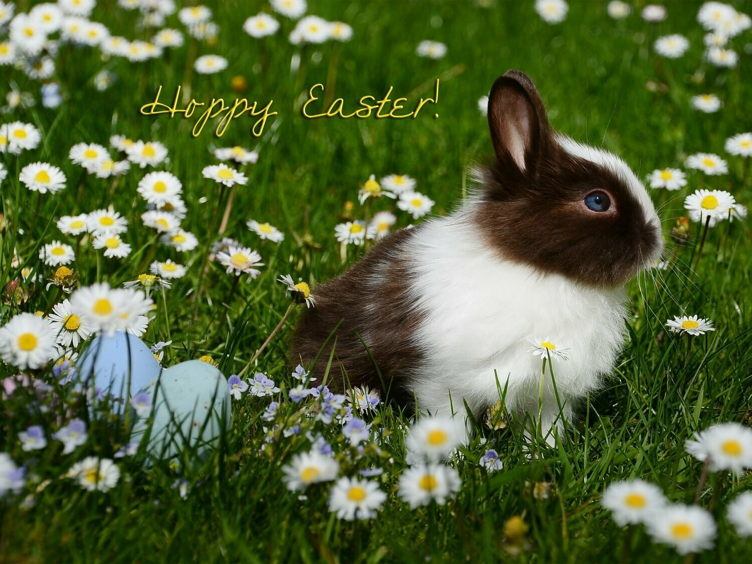Hoppy Easter
