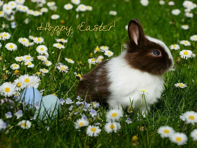 Hoppy Easter