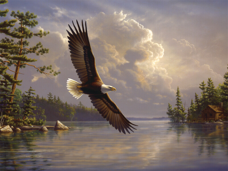 Eagle