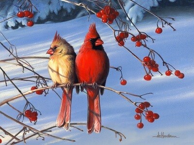 Cardinals and Berries
