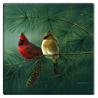 Cardinals and White Pine