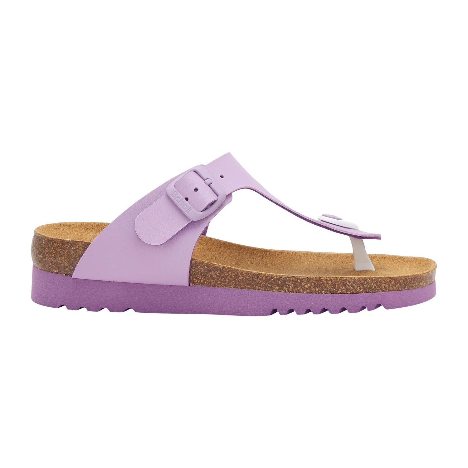Flip-Flops Purple Boa Vista