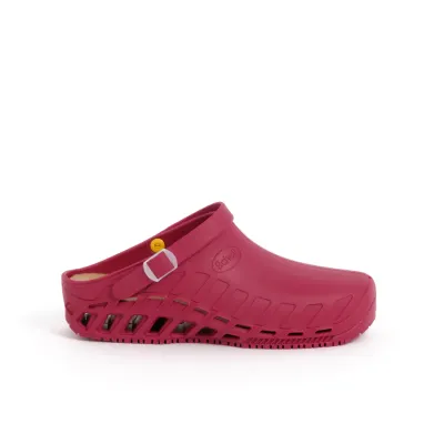 CLOG EVO WINE