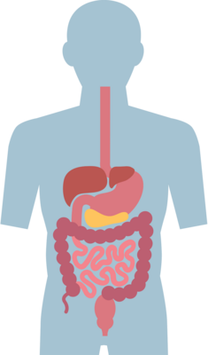 Digestive Support