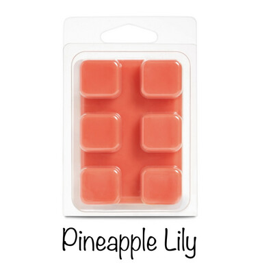 Fragrance Wax Melt