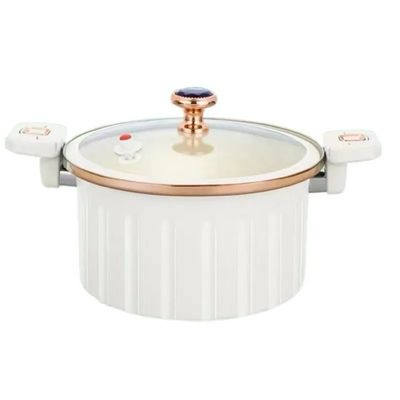 Micro Pressure Cooker