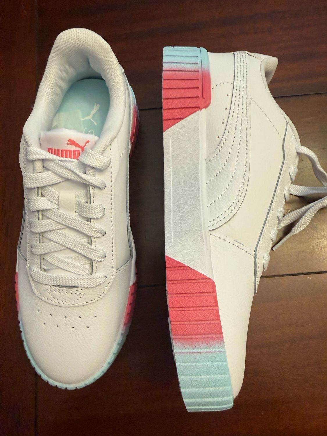Puma 5