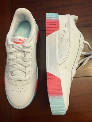 Puma 5