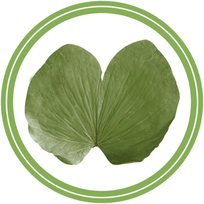 NATURAL LEAF PRODUCTS