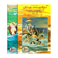 Srimad Bhagavad-Gita Sadhaka Sanjeevini (Tamil) Set of 2 Vol.