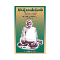 God Experience (Vol.2) (Telugu)