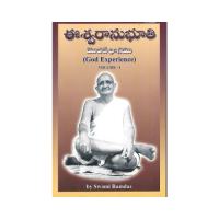God Experience (Vol.1) (Telugu)