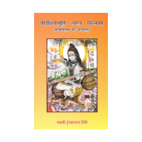Sri Dakshinamurti Svarupa Chintanam (Hindi)