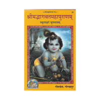 Shrimad Bhagavata Mahapuranam (Hindi)