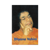 Dhyana Vahini (English)