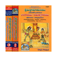 Shrimad Ramayanamu (Sri Valmiki Virachita) Set of 3 volumes