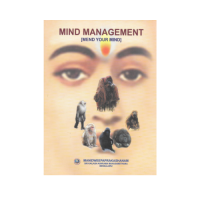 Mind Management (MEND YOUR MIND)