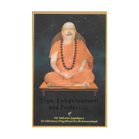 Yoga Enlightenment and Perfection