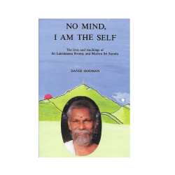 No Mind, I am the self