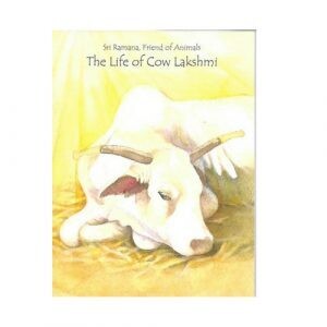 The life of Cow Lakshmi