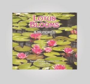 Lotus Blooms (A Hundred)