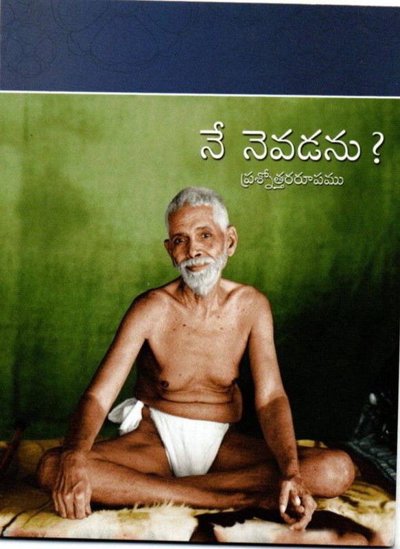 Nenevadanu? (Telugu)