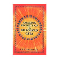 Amazing Secrets of the Bhagavad Gita (English)