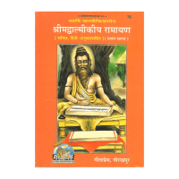 Srimad Valmiki Ramayan (Hindi) - Set of 2 books