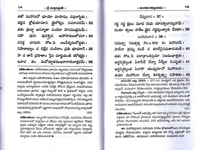 Sri Durga saptashati (Telugu) శ్రీ దుర్గా సప్తశతీ (పాఠవిధి - శ్లోక తాత్పర్య విశేషాంశముల సహితము)