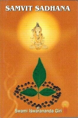 Samvit Sadhana (English)