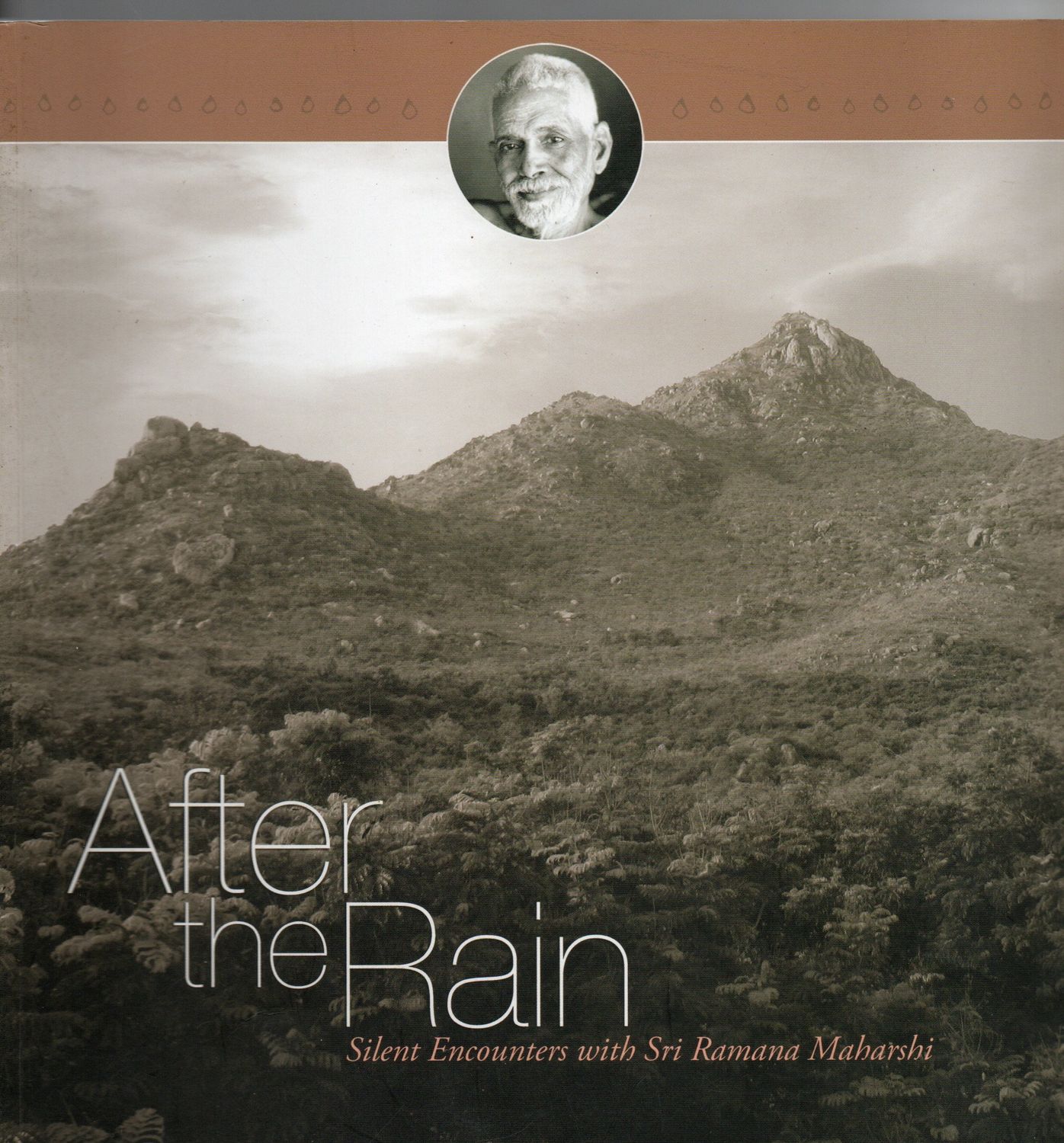 After the Rain (English)
