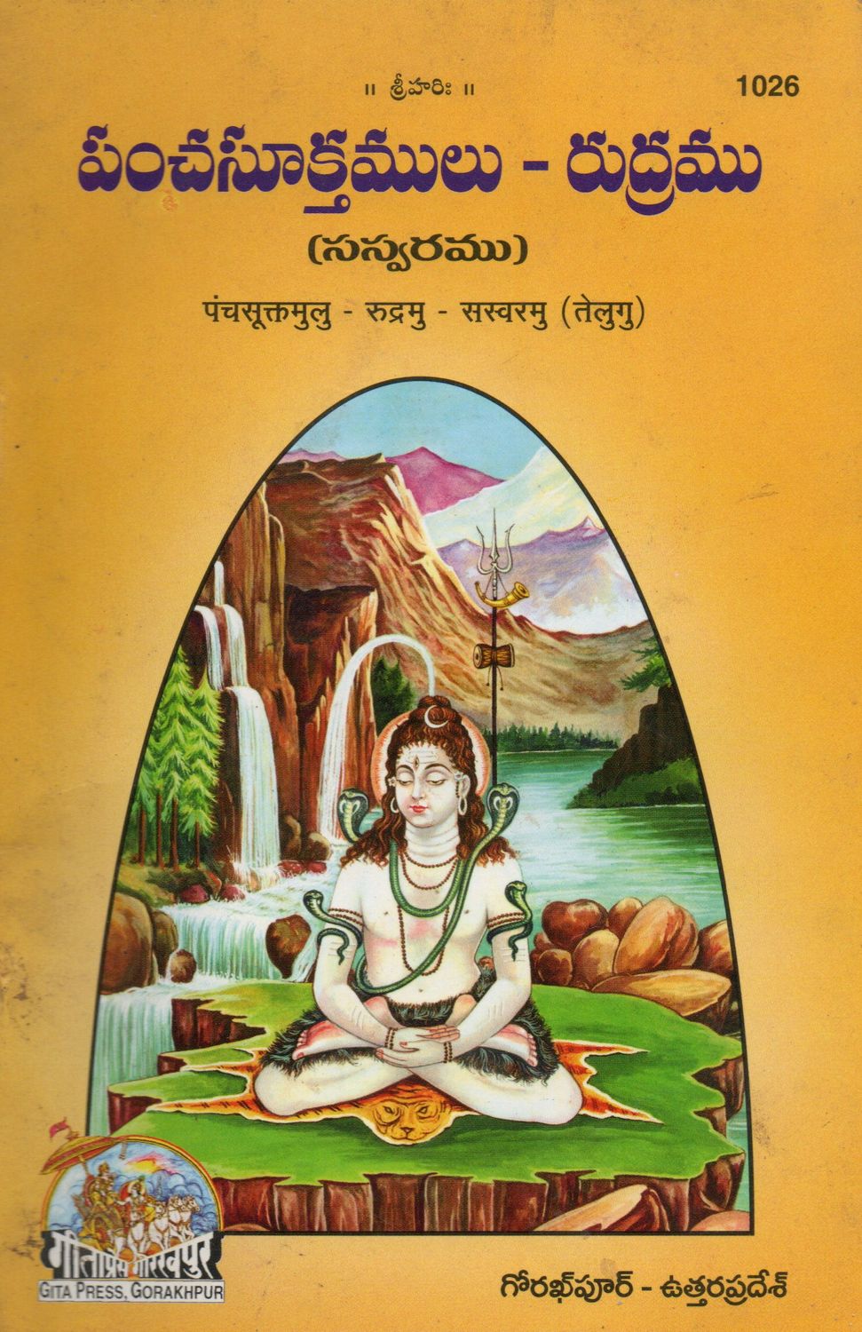 Pancha Suktamulu - Rudramu (Telugu) (Saswaramu) పంచసూక్తములు - రుద్రము (సస్వరము)  Old Book