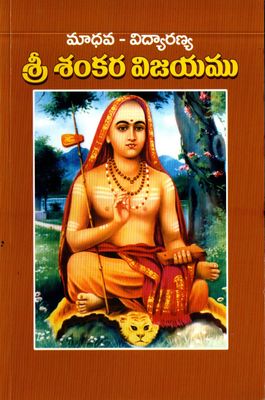 మాధవ - విద్యారణ్య శ్రీ శంకర విజయము Sri Sankara Vijayam (Telugu)