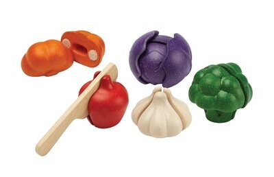 5 kleuren snij groenten set - PlanToys