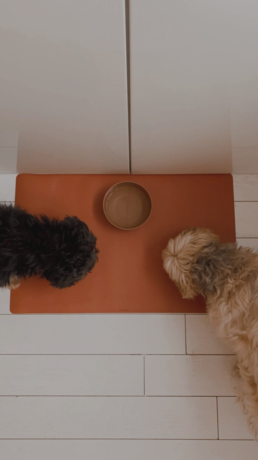 Bureau / knutsel  mat - Roest - Eeveve