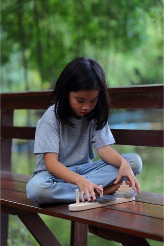 Lucas Tower - PlanToys