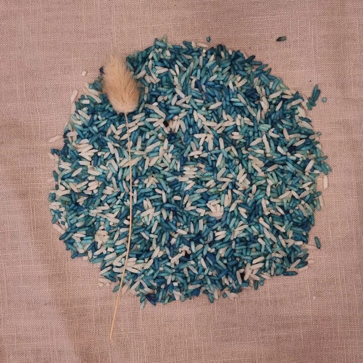 Speelrijst oceaan - Grennn