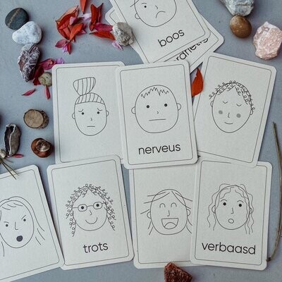 Emotie flashcards – Montessori leermiddel - Wildebras - Wildebras