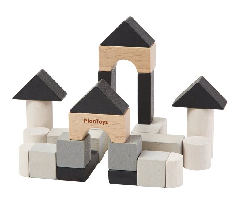 PlanMini - Constructie blokjes set - PlanToys