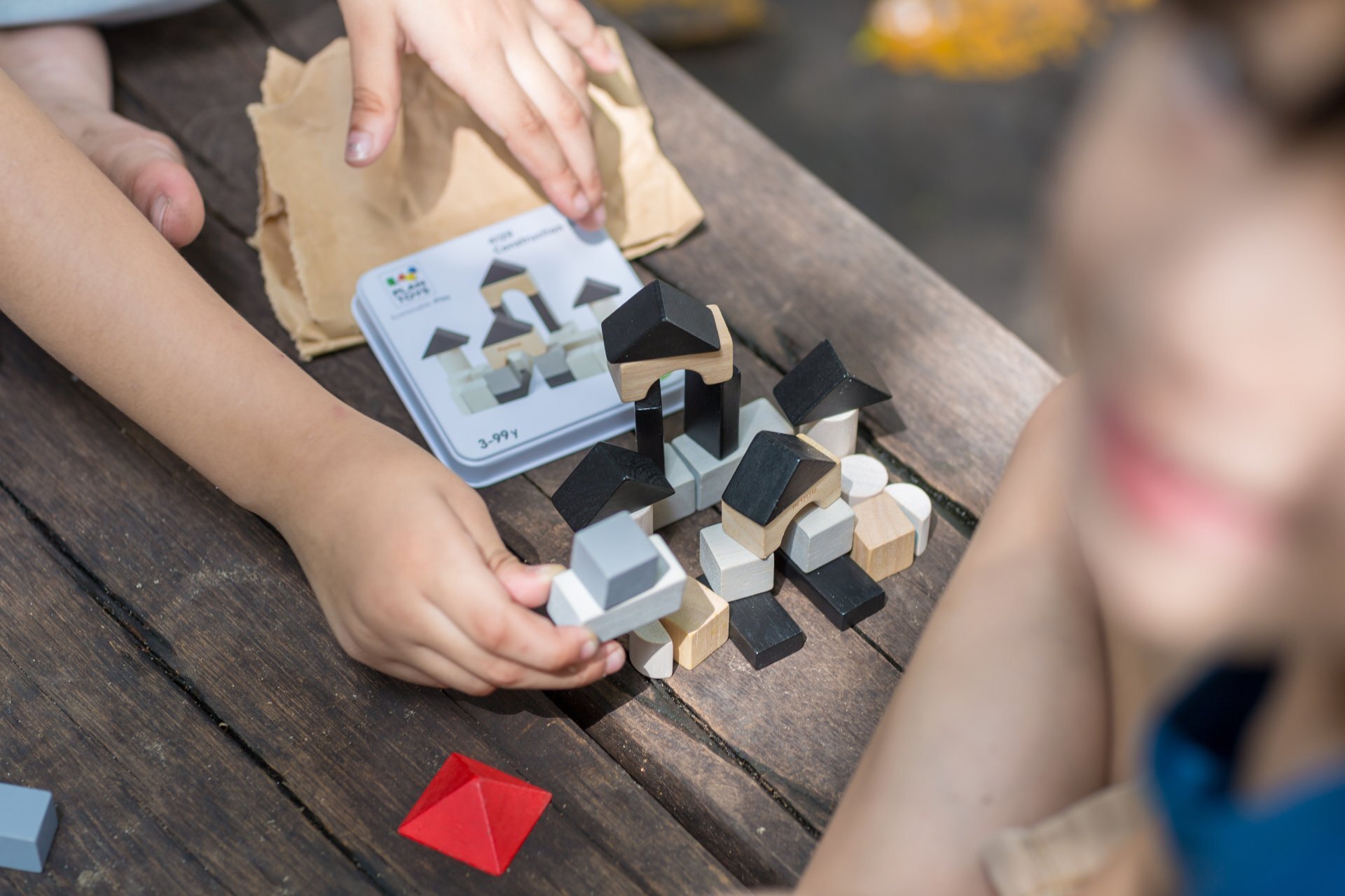 PlanMini - Constructie blokjes set - PlanToys